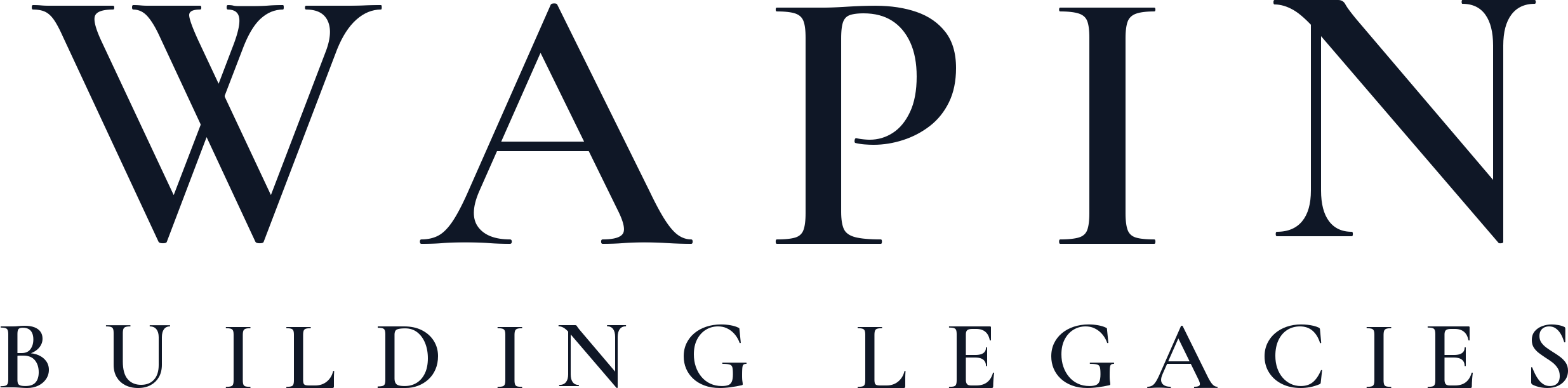 WAPIN Holdings Inc